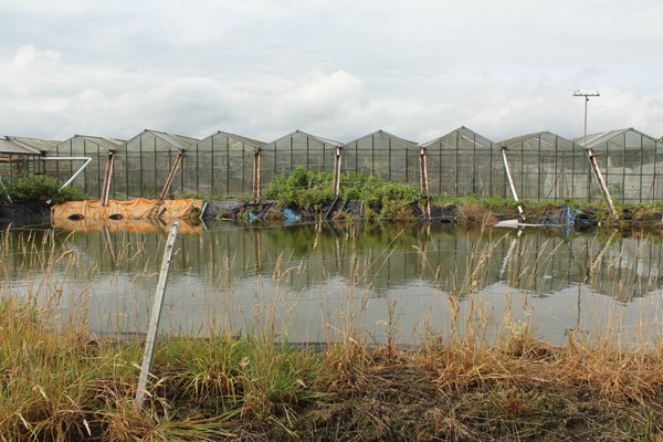 Medium property photo - Achterdiep Noordzijde, 9611 BT Sappemeer